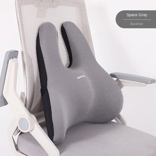 Orthopedic Memory Foam Cushion Set – Coccyx & Lumbar Support