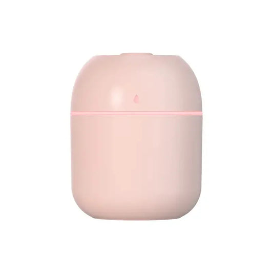 Portable 220ml Mini Mist Spray Humidifier